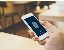 fingerID smaller fingerID smaller
